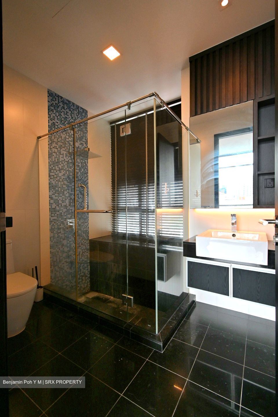 The Inspira (D9), Condominium #366977091